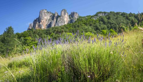 Montage photos réalisés à la suite d’une randonnée itinérante dans le Diois